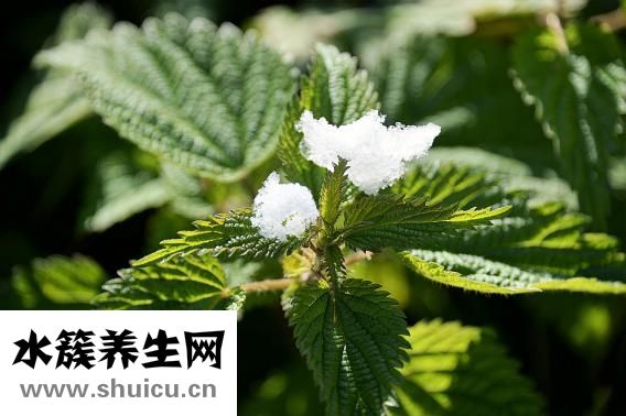 小苏打洗水果