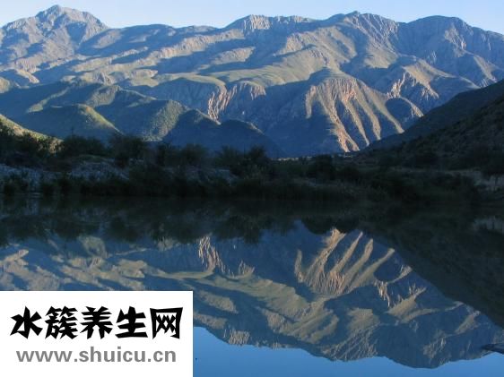 头孢属于抗生素吗