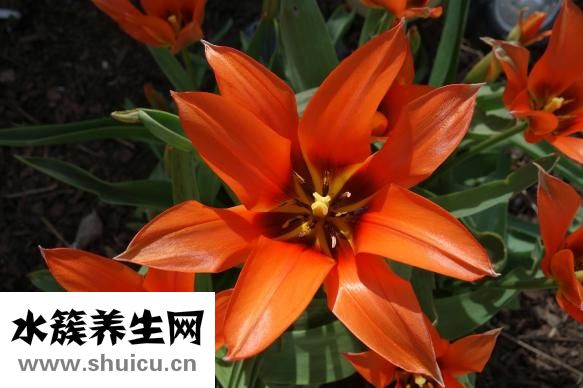 右手小拇指发麻