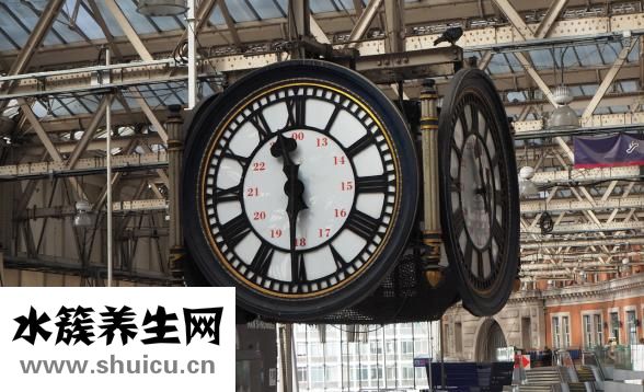 土豆炖排骨汤