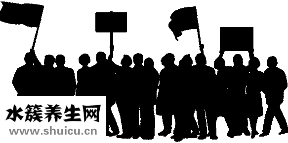 什么人吃海参好