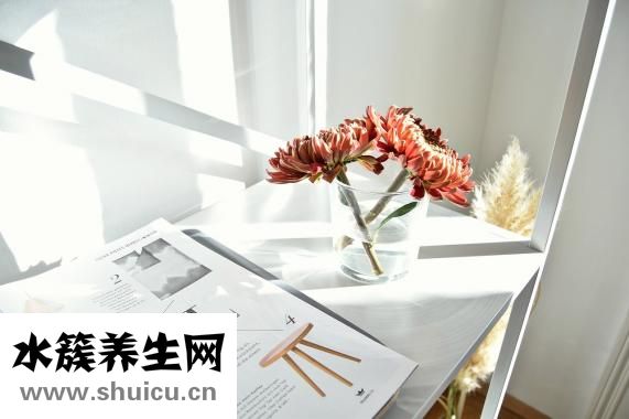 头孢属于抗生素吗