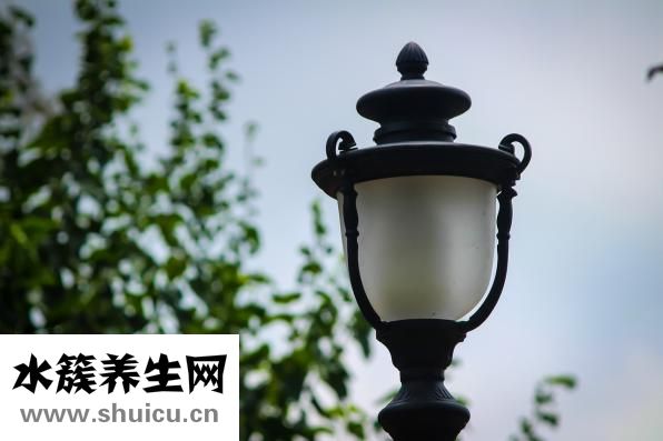 斯奇康的危害