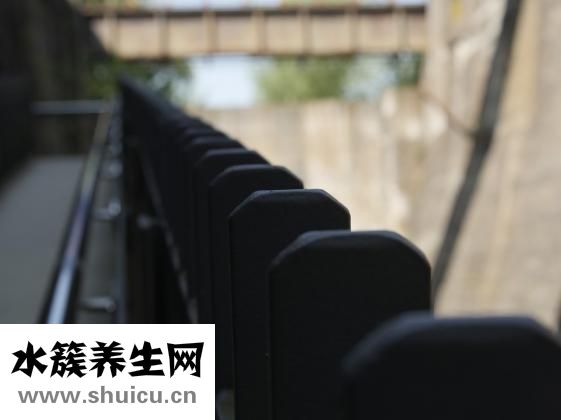心火旺失眠怎么办