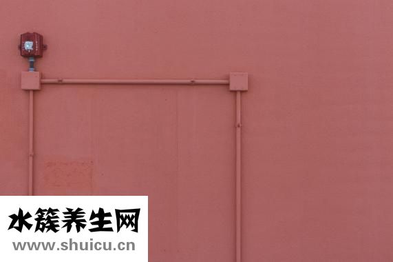 切胃手术需要多少钱