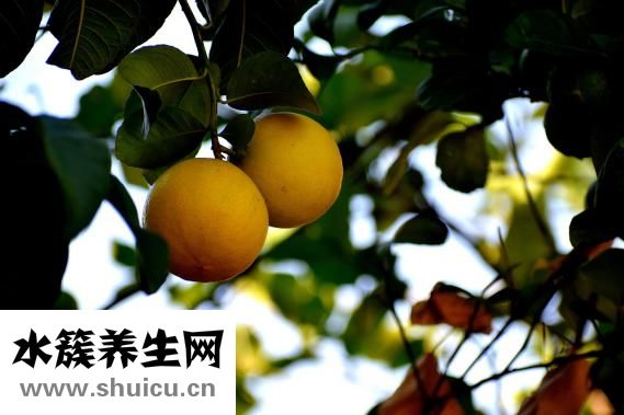 怎么才能不长胡子