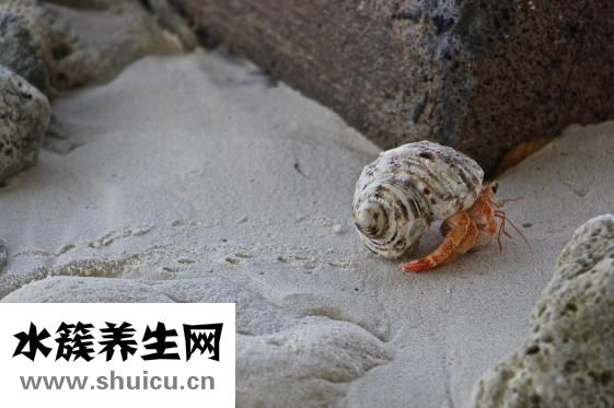 双重人格前兆
