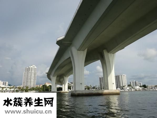 云南酸木瓜