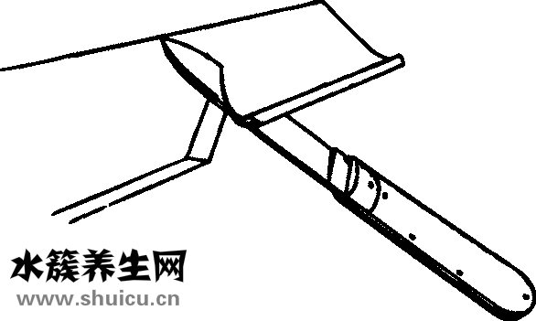 土豆炖胡萝卜