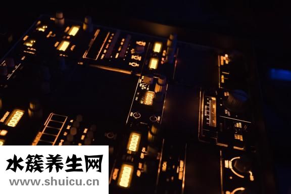 十大解酒饮品