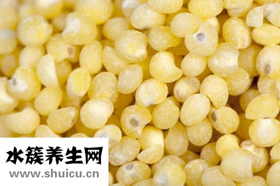 一笼小笼包的热量