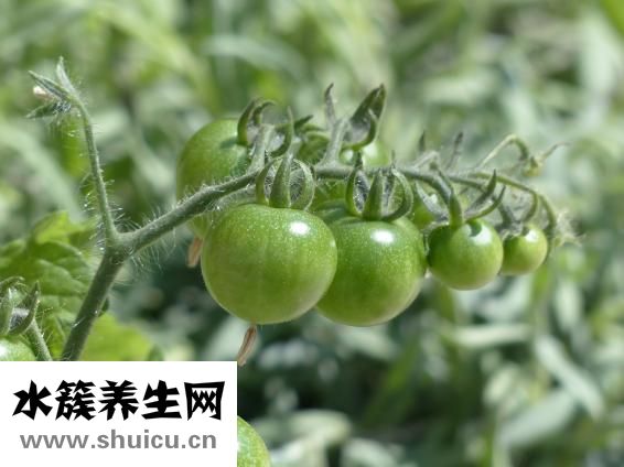 吃什么水果变白
