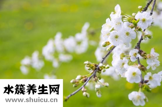 孕妇如何控制体重