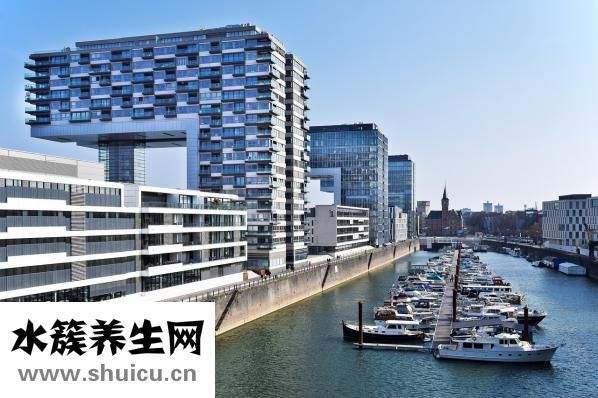 他克莫司说明书