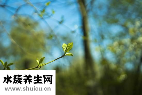 孕妇白蛋白偏低