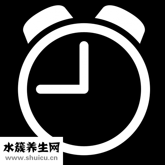怎么腌鸡翅