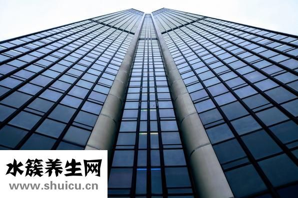 四维彩超预约流程