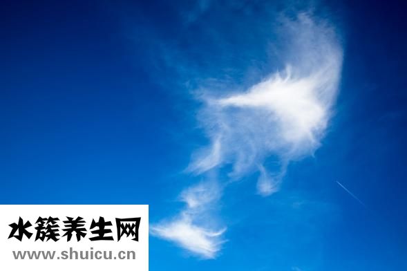 准分子近视手术