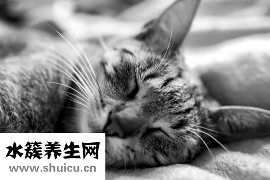 心电图报告