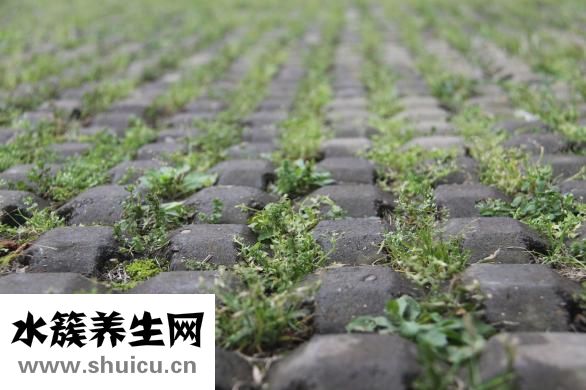 山药过敏怎么止痒