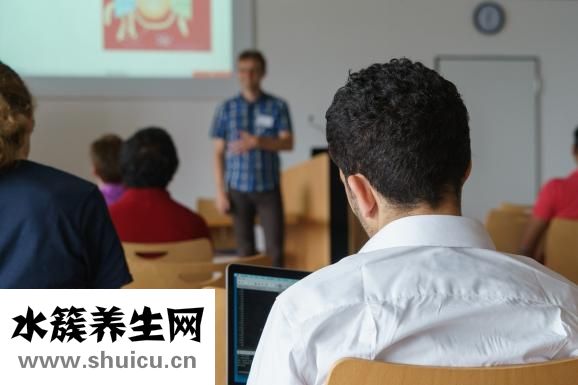 什么的知了