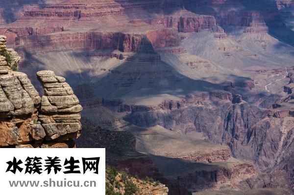 孕妇白细胞高