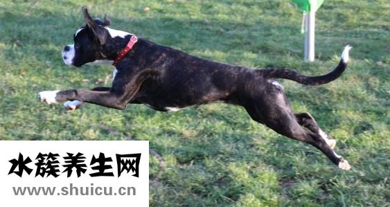 婴儿洗发水