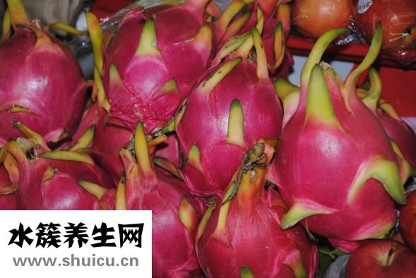 小儿化食口服液