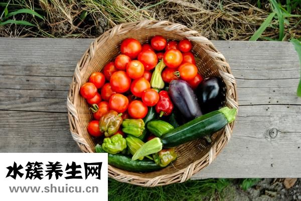 大脑解剖图