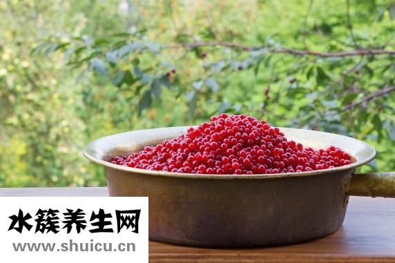 乌冬面热量