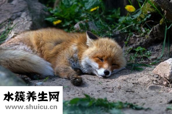 伤口发炎怎么办