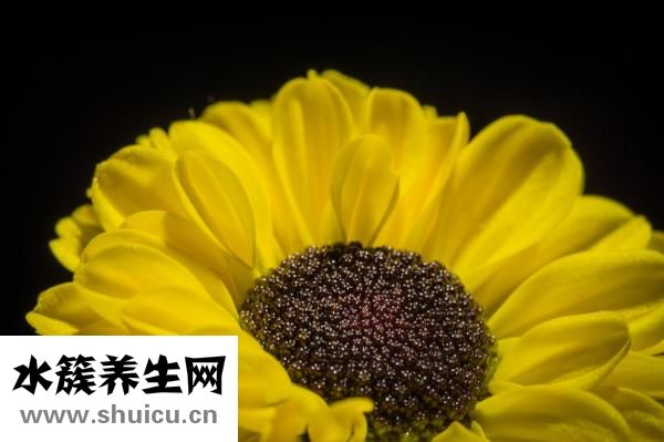 手术后吃什么好