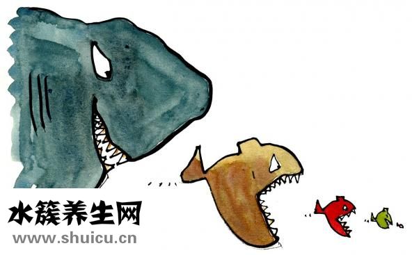 孕妇做春梦