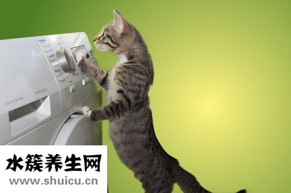 抗宫炎软胶囊