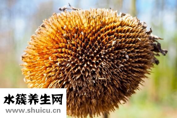 怎么练肺活量