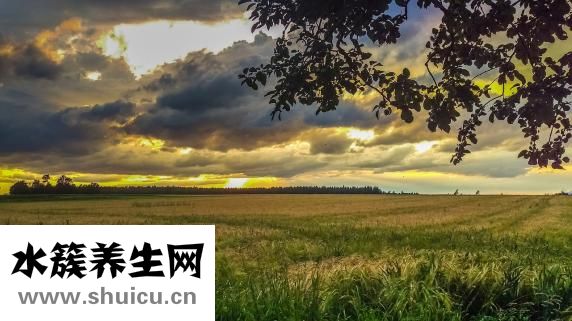 小苏打的作用与功效