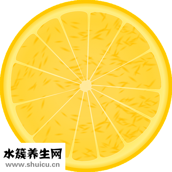 孕妇能吃哈密瓜