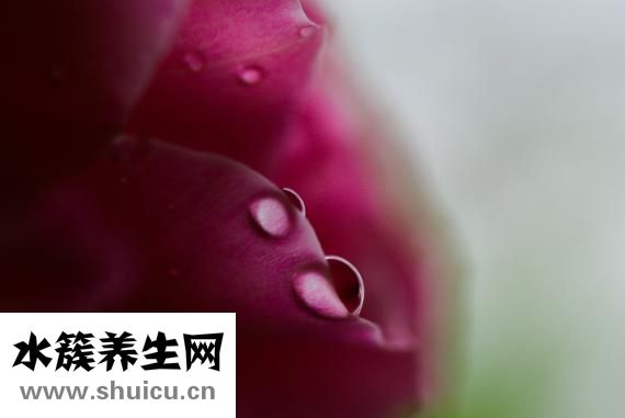 嗜酸细胞绝对值
