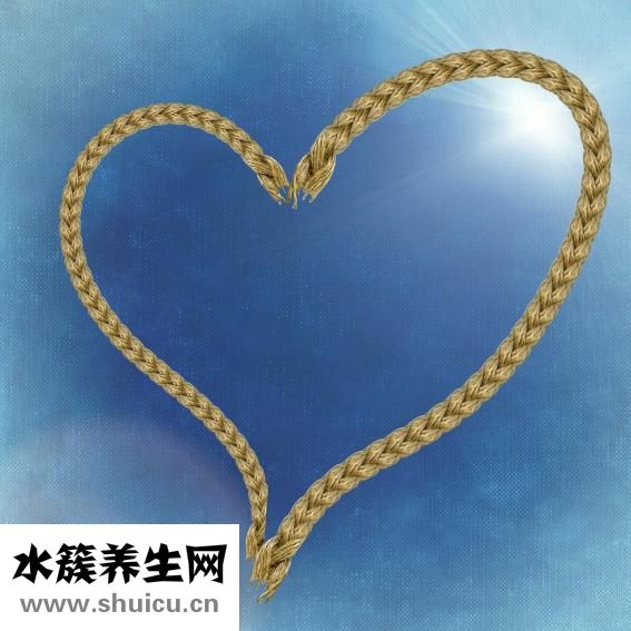 八大系统有哪些