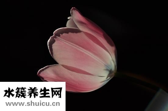 那麼上吐下泻是什么病？其实是胃肠功能紊乱造成的
