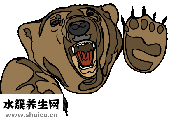 健康牙齿图片