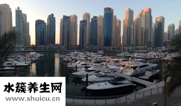 上火牙龈肿痛