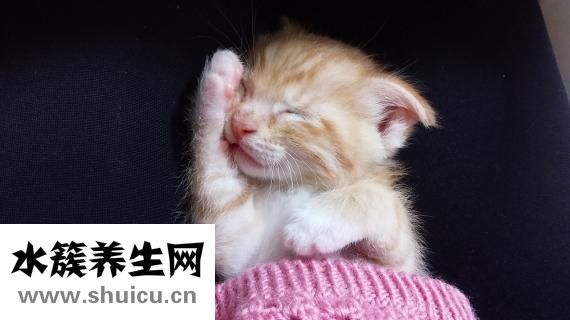 为什么做噩梦