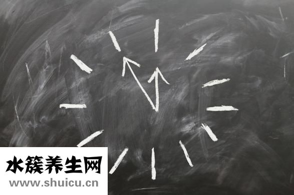 新鲜生蚝怎么保存