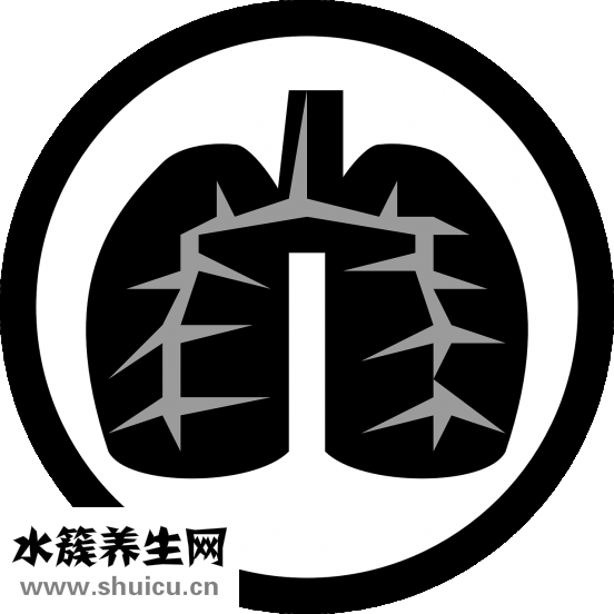 双眼皮胶水