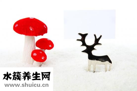 体癣初期图片可能是出现了手足癣和细菌性病变