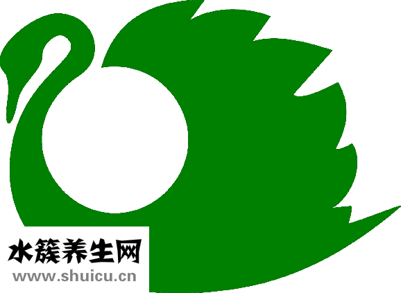 元旦节吃什么