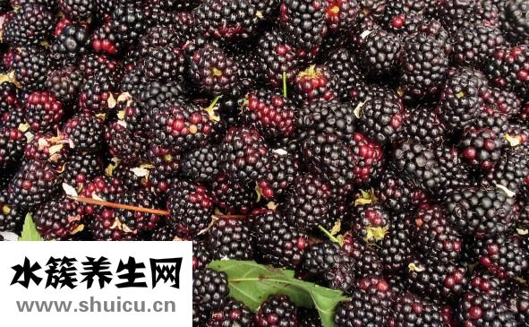 孕妇可以吃桃胶吗