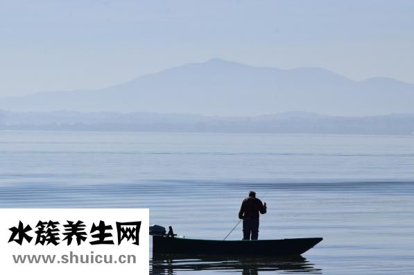 孕妇吃西梅好不好
