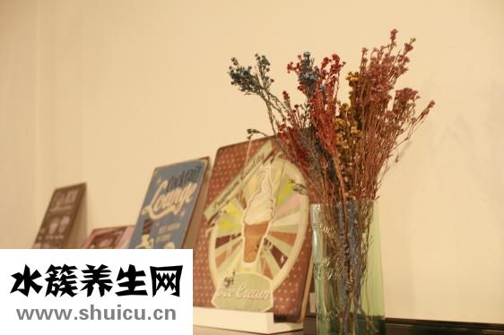 新鲜生蚝怎么保存
